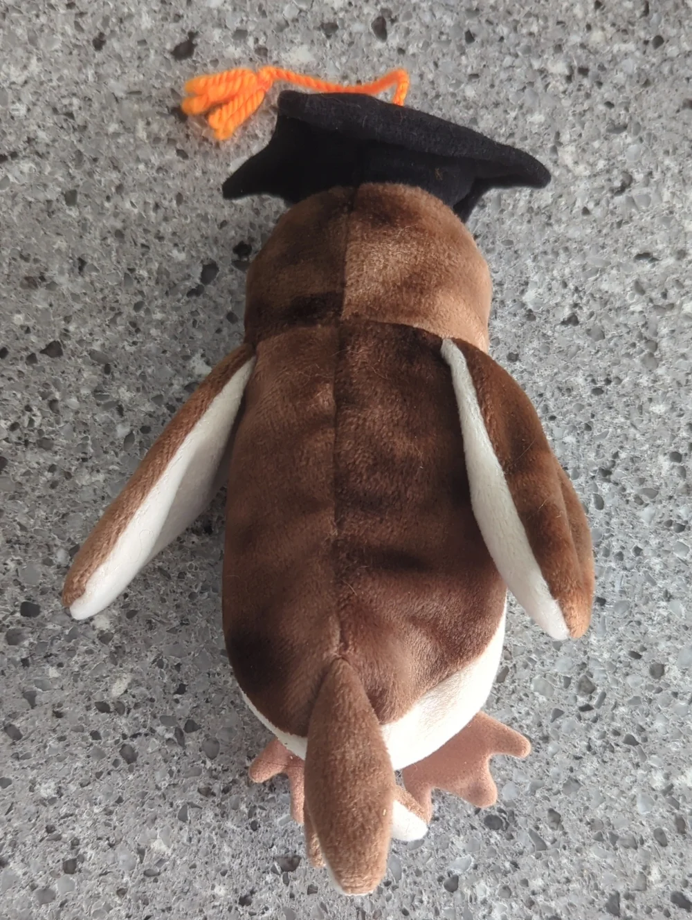 Ty Beanie Baby - Wise